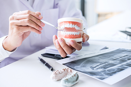 Michael J. Murray, DDS