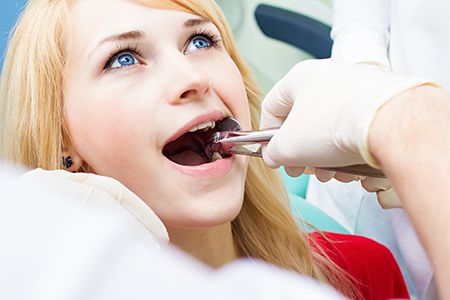 Michael J. Murray, DDS