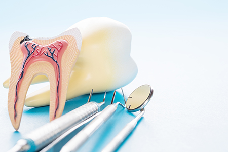 Michael J. Murray, DDS